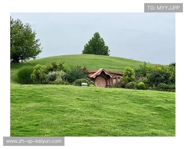 _瑞士草地赛:盛夏中的田园盛宴,精彩纷呈_,瑞士 草原 _瑞士草地赛:盛夏中的田园盛宴,精彩纷呈_,瑞士 草原