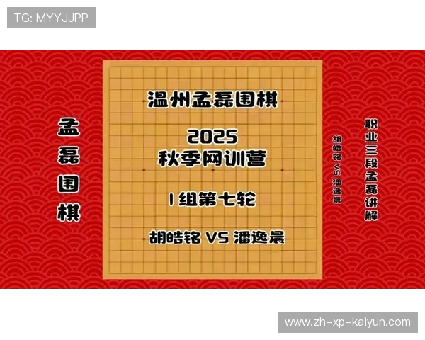 中国围棋协会发布围棋职业棋手培养计划,中国业余围棋升职业 中国围棋协会发布围棋职业棋手培养计划,中国业余围棋升职业
