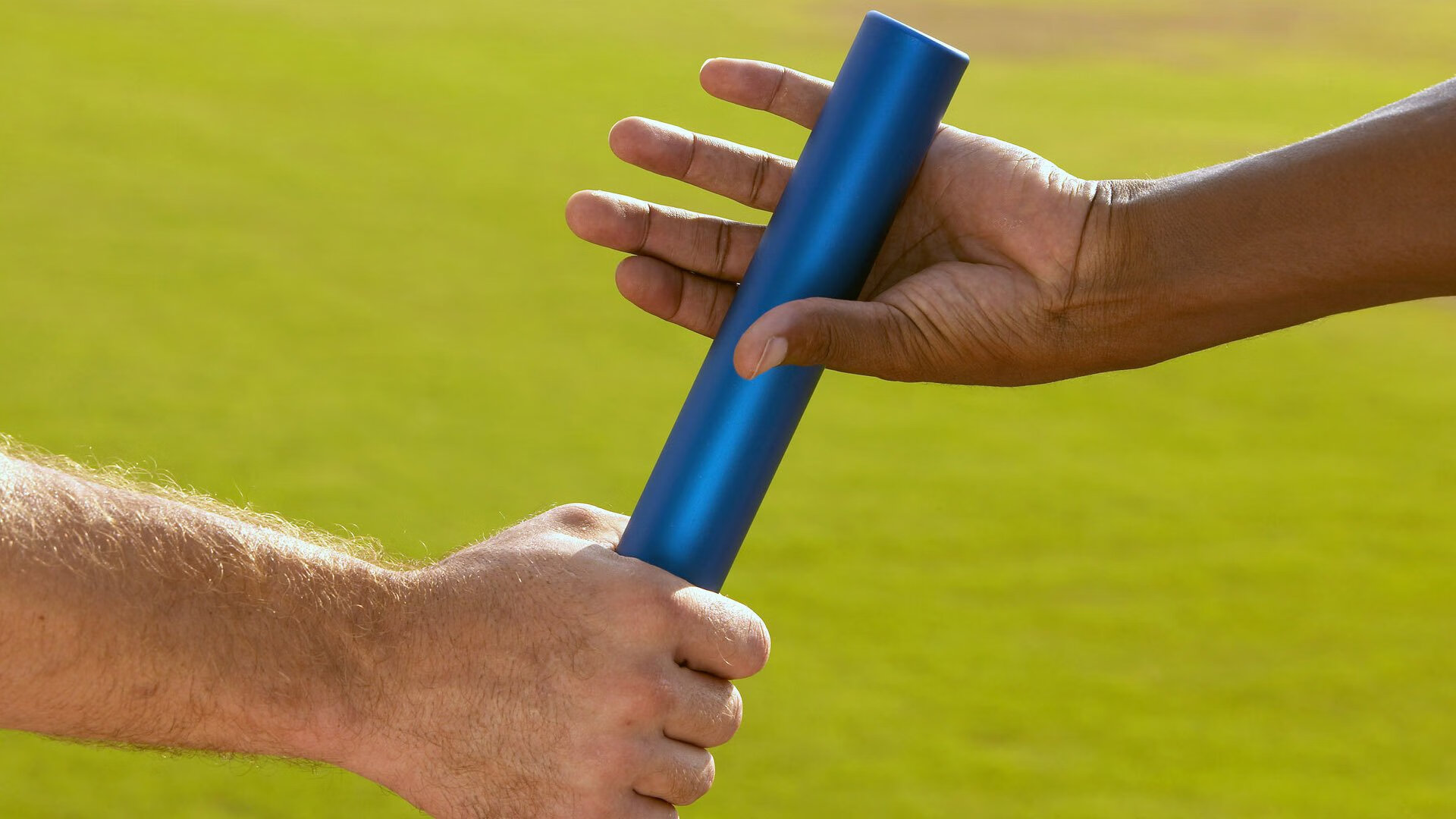 比利时仰泳选手技术细腻，比利时训练